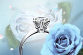 Hot New Luxury 925 Sterling Silver 1-3 Ct Real Moissanite Rings Wholesale Jewelry and Clovers